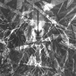Black Vice / Khringe