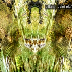 Point Olaf