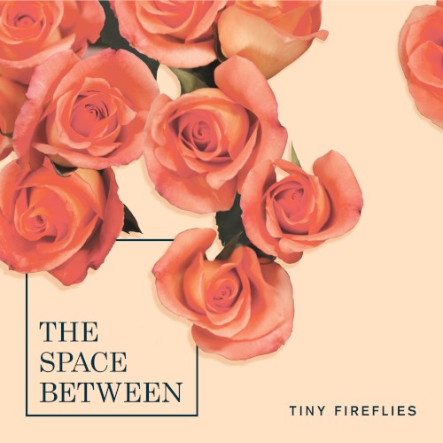 The Space Between