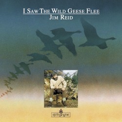 I Saw the Wild Geese Flee