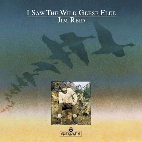 I Saw the Wild Geese Flee