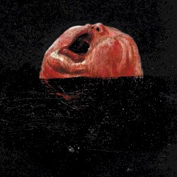 Tutta la Morte in un solo punto
