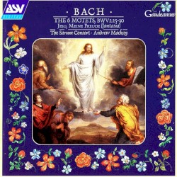 The 6 Motets, BWV 225-230 / Jesu, Meine Freude (fantasia)