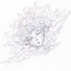 WILL / straysheep