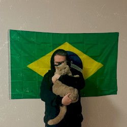 Gato Brasileiro