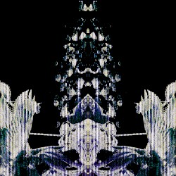 𝙃𝙖𝙙𝙞𝙦𝙖