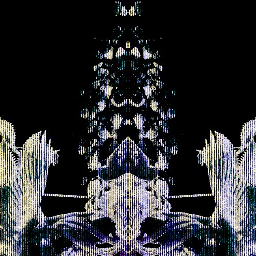 𝙃𝙖𝙙𝙞𝙦𝙖