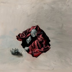 mea maxima culpa