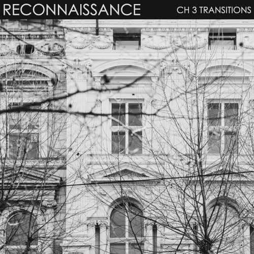 Ch 3 Transitions