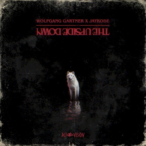 The Upside Down
