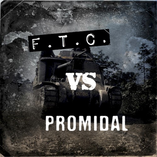 F.T.C. vs Promidal