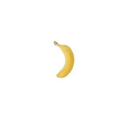 I Slipped on a Banana and Broke My Ass