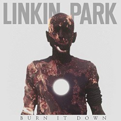 Burn It Down (Paul Van Dyk remixes)