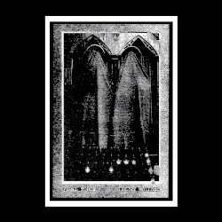 Luxury Mollusc / Feral Torch