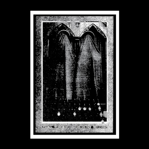 Luxury Mollusc / Feral Torch