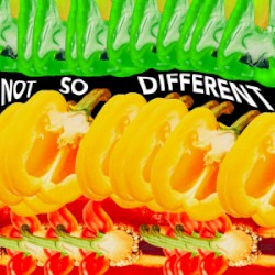 Not So Different