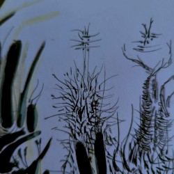 growth