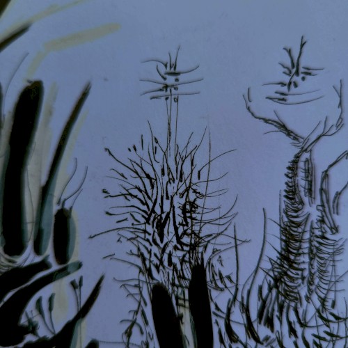growth