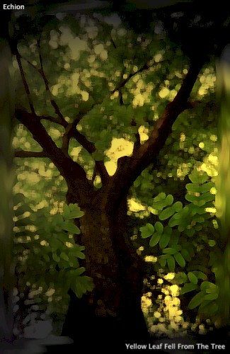 Yellow Leaf Fell From Tree