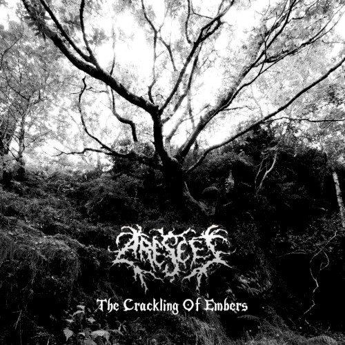 The Crackling of Embers