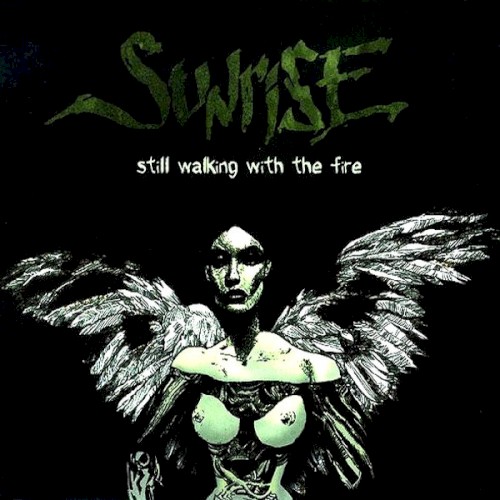 Still Walking With The Fire
