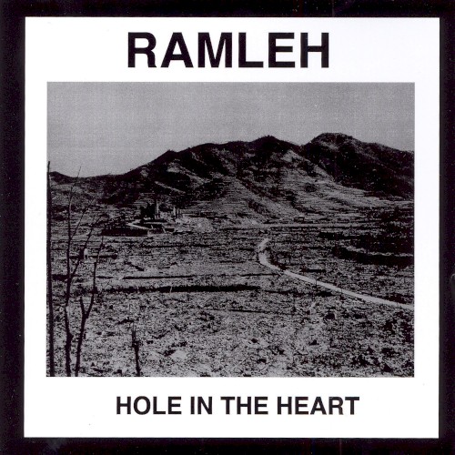 Hole in the Heart