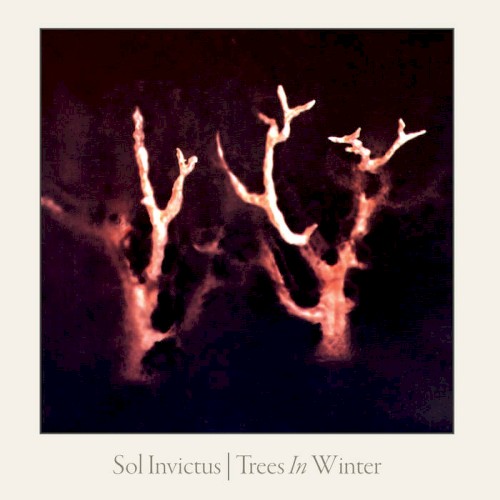 Trees in Winter