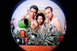 בוטלג אביב 2012