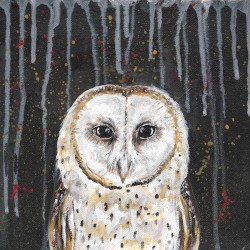 The Owl