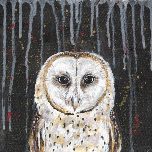 The Owl