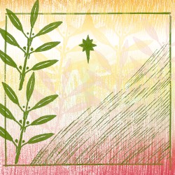 Gifts of Olive