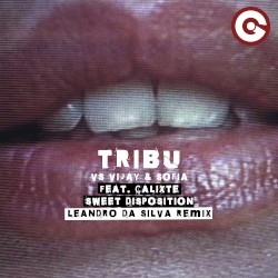 Sweet Disposition (Leandro da Silva remix)