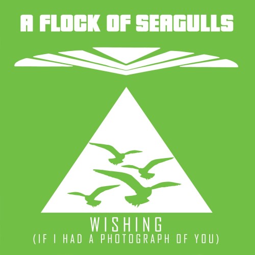 Wishing (If I Had a Photograph of You)