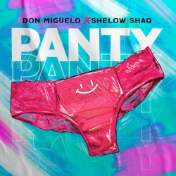 Panty