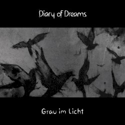 Grau im Licht