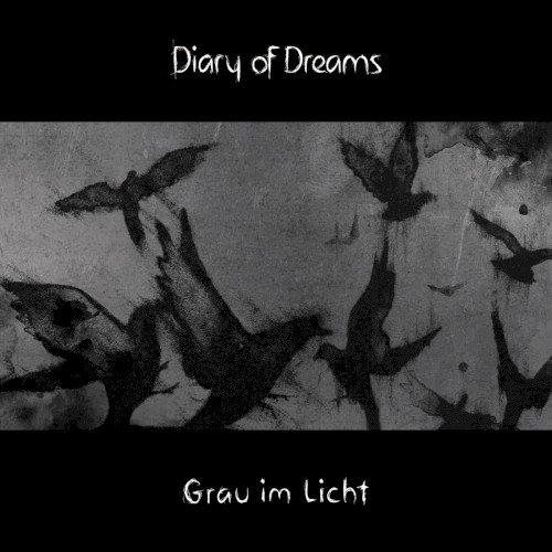 Grau im Licht