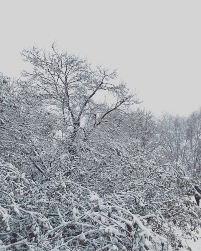 Bleak Mid Winter