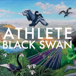 Black Swan