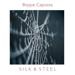 Silk & Steel