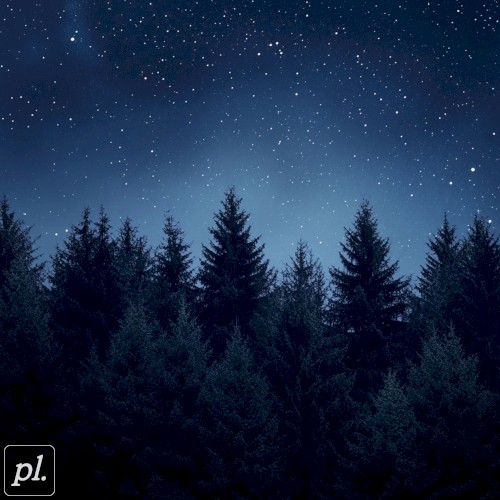 lost in the evergreens