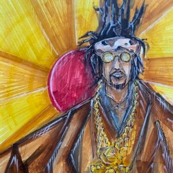 Dark Shogunn Assassin