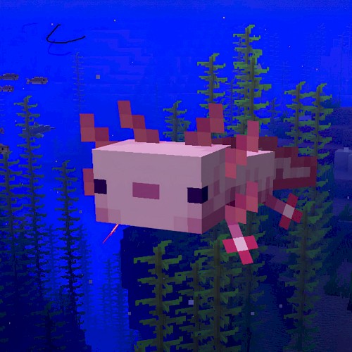 Axolotl in the Ocean