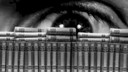 Biologie und Pathologie des Weibes