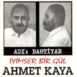 İyimser Bir Gül