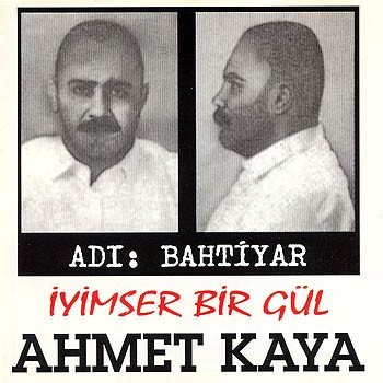 İyimser Bir Gül