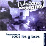Bienvenue sous les glaces