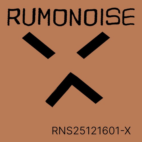 RNS25121601-X