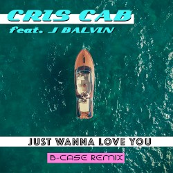 Just Wanna Love You (B-Case remix)