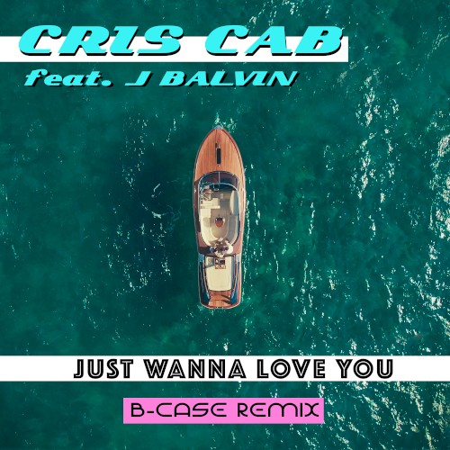 Just Wanna Love You (B-Case remix)