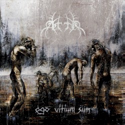 Ego Vitium Sum